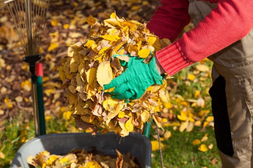 Eco-friendly disposal methods during clearance